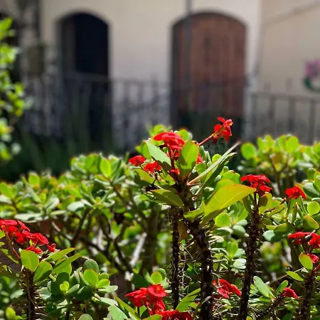 Andros * Taormina